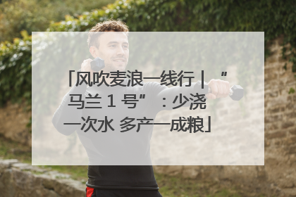 风吹麦浪一线行｜“马兰 1 号”：少浇一次水 多产一成粮