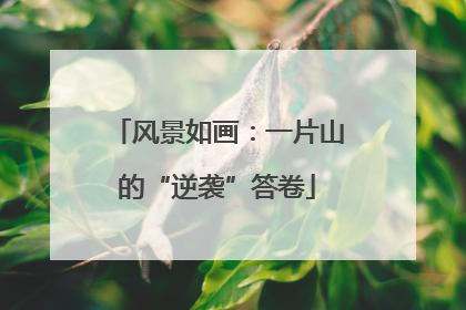 风景如画：一片山的“逆袭”答卷