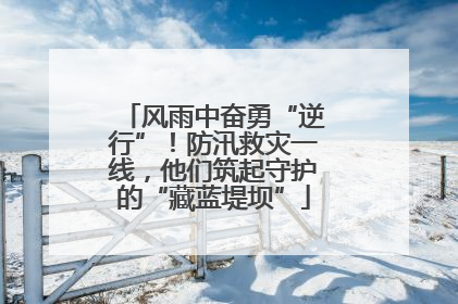 风雨中奋勇“逆行”！防汛救灾一线，他们筑起守护的“藏蓝堤坝”