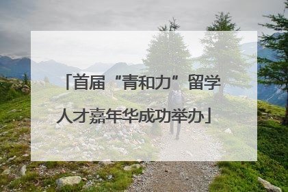 首届“青和力”留学人才嘉年华成功举办