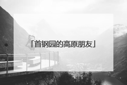 首钢园的高原朋友