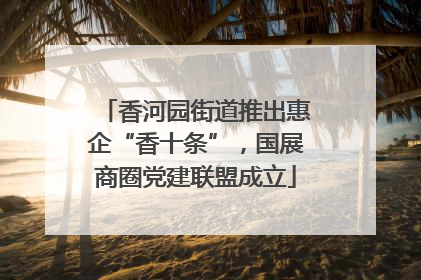 香河园街道推出惠企“香十条”，国展商圈党建联盟成立