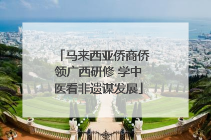 马来西亚侨商侨领广西研修 学中医看非遗谋发展