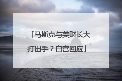 马斯克与美财长大打出手？白宫回应