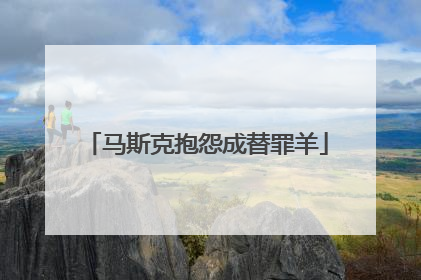 马斯克抱怨成替罪羊