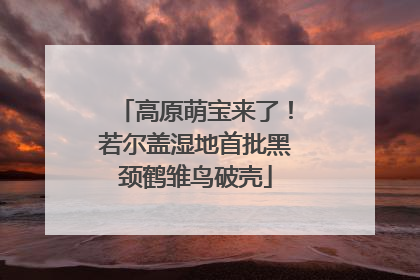 高原萌宝来了！若尔盖湿地首批黑颈鹤雏鸟破壳