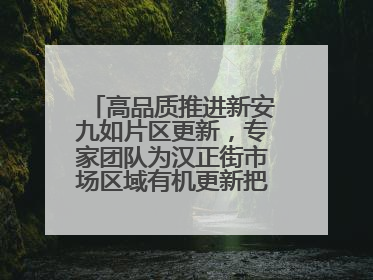 高品质推进新安九如片区更新，专家团队为汉正街市场区域有机更新把脉问诊