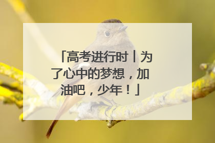 高考进行时︱为了心中的梦想，加油吧，少年！