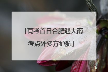 高考首日合肥遇大雨 考点外多方护航