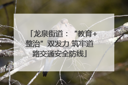 龙泉街道：“教育+整治”双发力 筑牢道路交通安全防线
