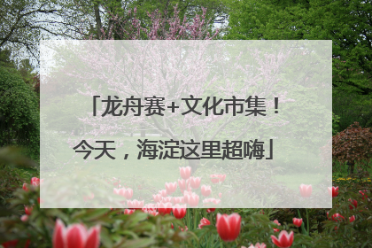龙舟赛+文化市集！今天，海淀这里超嗨