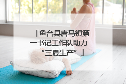 鱼台县唐马镇第一书记工作队助力“三夏生产”