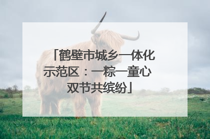 鹤壁市城乡一体化示范区：一粽一童心 双节共缤纷