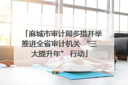 麻城市审计局多措并举推进全省审计机关 “三大提升年” 行动