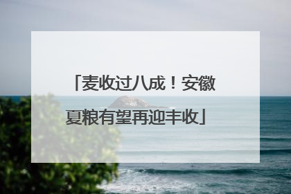 麦收过八成！安徽夏粮有望再迎丰收