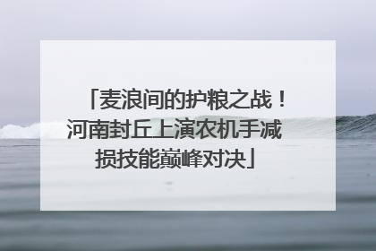 麦浪间的护粮之战！河南封丘上演农机手减损技能巅峰对决