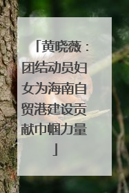黄晓薇：团结动员妇女为海南自贸港建设贡献巾帼力量