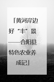 黄河岸边好“丰”景——合阳县特色农业养成记