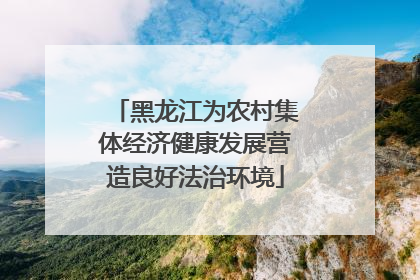黑龙江为农村集体经济健康发展营造良好法治环境