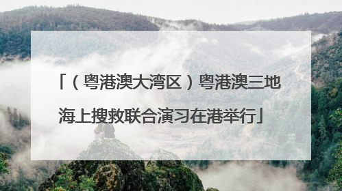 （粤港澳大湾区）粤港澳三地海上搜救联合演习在港举行