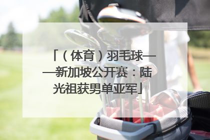 （体育）羽毛球——新加坡公开赛：陆光祖获男单亚军