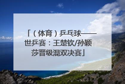 （体育）乒乓球——世乒赛：王楚钦/孙颖莎晋级混双决赛
