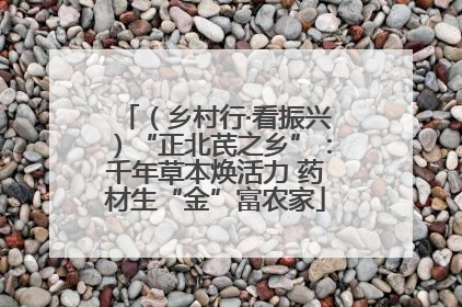 （乡村行·看振兴）“正北芪之乡”：千年草本焕活力 药材生“金”富农家