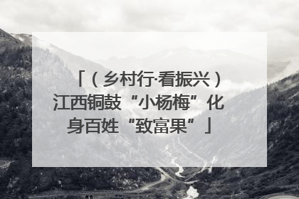 （乡村行·看振兴）江西铜鼓“小杨梅”化身百姓“致富果”