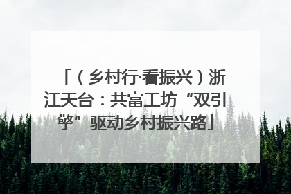 （乡村行·看振兴）浙江天台：共富工坊“双引擎”驱动乡村振兴路