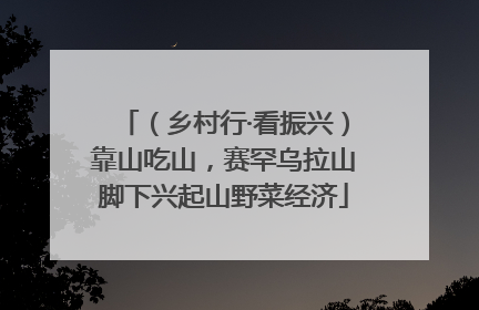（乡村行·看振兴）靠山吃山，赛罕乌拉山脚下兴起山野菜经济