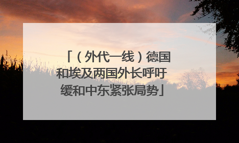 （外代一线）德国和埃及两国外长呼吁缓和中东紧张局势