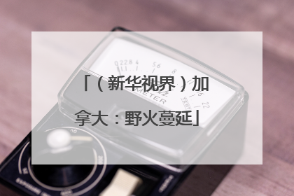（新华视界）加拿大：野火蔓延