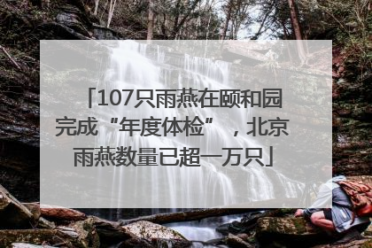 107只雨燕在颐和园完成“年度体检”，北京雨燕数量已超一万只