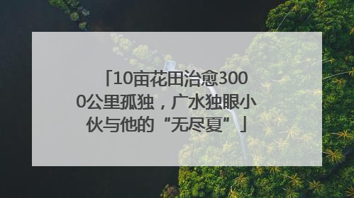 10亩花田治愈3000公里孤独，广水独眼小伙与他的“无尽夏”