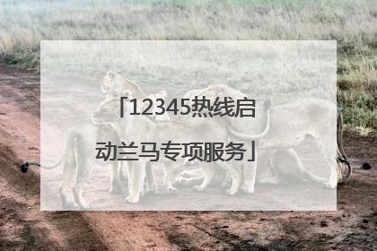 12345热线启动兰马专项服务