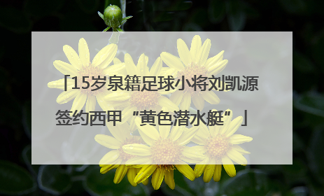 15岁泉籍足球小将刘凯源签约西甲“黄色潜水艇”