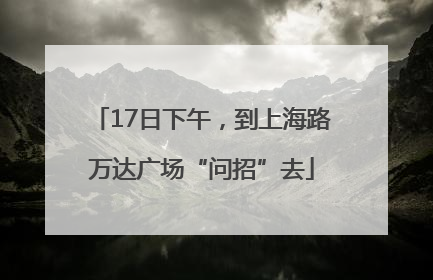17日下午，到上海路万达广场“问招”去