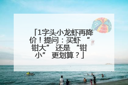 1字头小龙虾再降价！提问：买虾 “钳大” 还是 “钳小” 更划算？