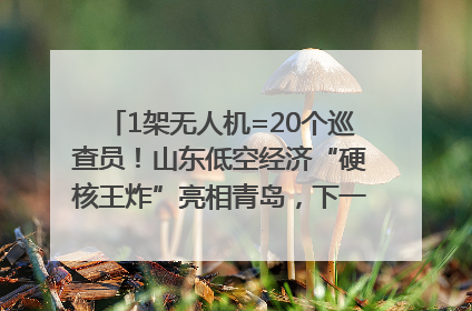 1架无人机=20个巡查员！山东低空经济“硬核王炸”亮相青岛，下一个万亿赛道藏在这里
