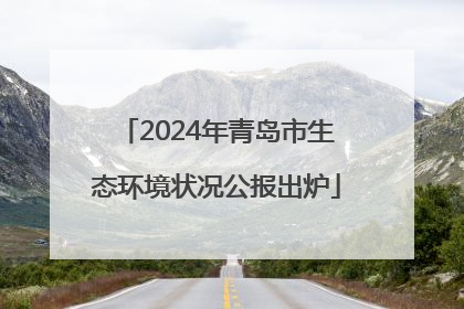 2024年青岛市生态环境状况公报出炉
