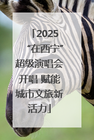 2025“在西宁”超级演唱会开唱 赋能城市文旅新活力