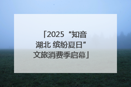 2025“知音湖北 缤纷夏日”文旅消费季启幕