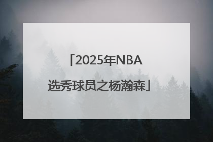 2025年NBA选秀球员之杨瀚森