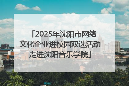 2025年沈阳市网络文化企业进校园双选活动走进沈阳音乐学院
