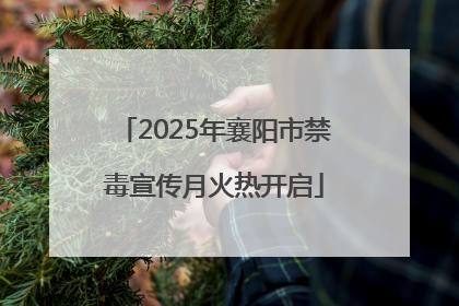 2025年襄阳市禁毒宣传月火热开启