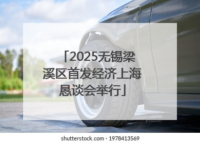 2025无锡梁溪区首发经济上海恳谈会举行