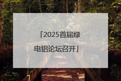 2025首届绿电铝论坛召开