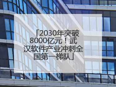 2030年突破8000亿元！武汉软件产业冲刺全国第一梯队