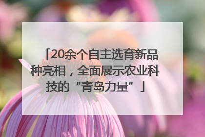 20余个自主选育新品种亮相，全面展示农业科技的“青岛力量”