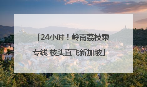 24小时！岭南荔枝乘专线 枝头直飞新加坡